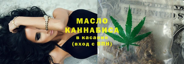 индика Нягань