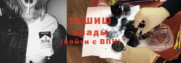 стафф Алексин