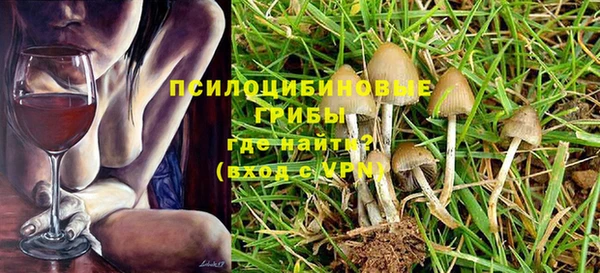 стафф Алексин
