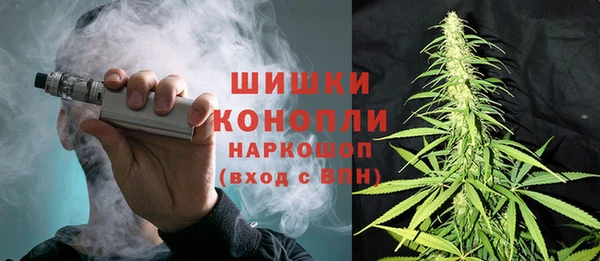 трава Абаза