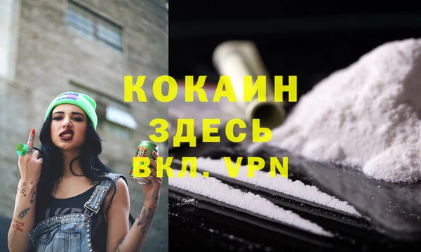 стафф Алексин
